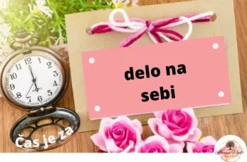 delo_na_sebi